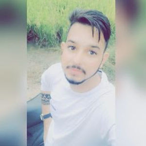 Meet your Posher, Raman